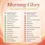 Morning Glory introductory special - 22.6%!