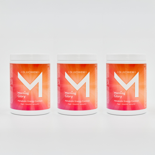 3x Morning Glory